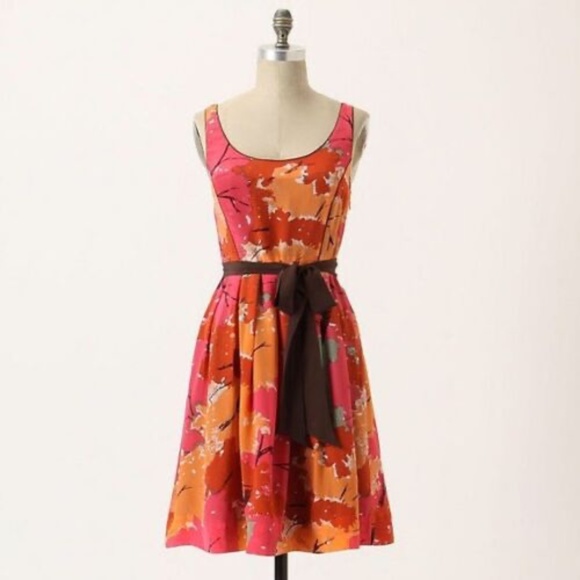 Anthropologie Dresses & Skirts - Anthropologie WE LOVE VERA Changing Canopy Silk Dress Fit N' Flare Lace ~ Size 4